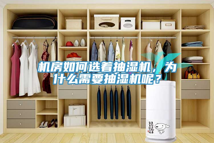 機房如何選著抽濕機，為什麽需要抽濕機呢？