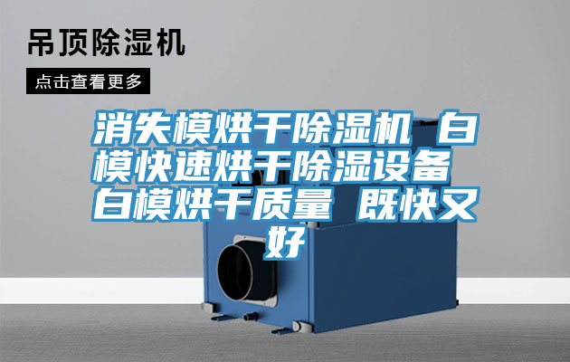 消失模烘幹蘑菇视频网站 白模快速烘幹除濕設備 白模烘幹質量 既快又好