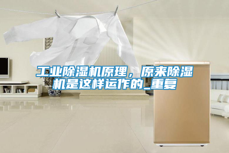 工業蘑菇视频网站原理，原來蘑菇视频网站是這樣運作的_重複