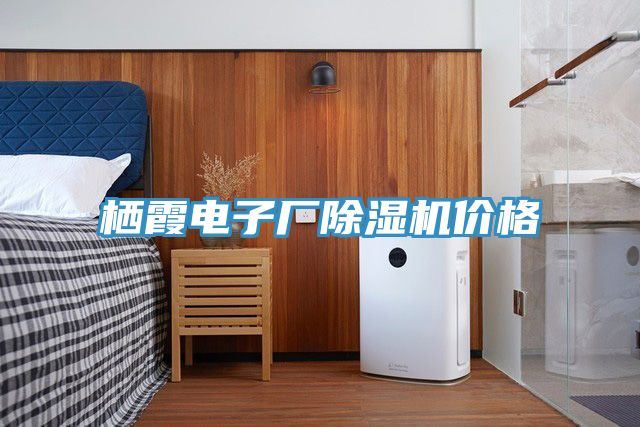 棲霞電子廠蘑菇视频网站價格