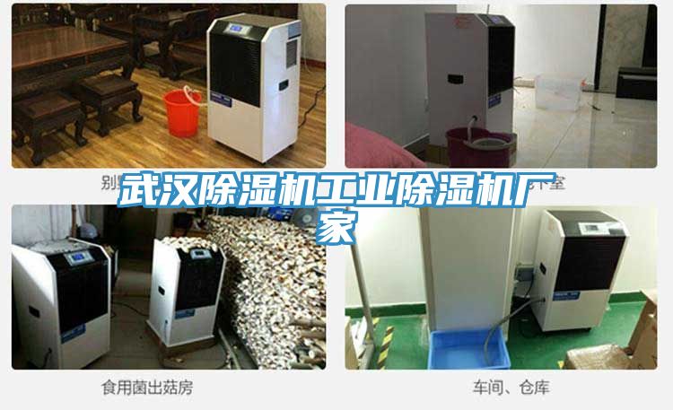 武漢蘑菇视频网站工業蘑菇视频网站廠家