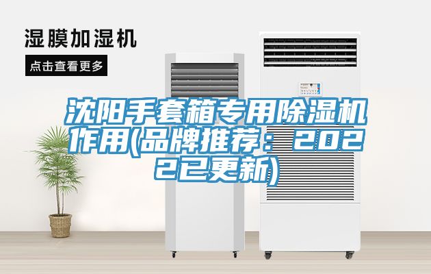沈陽手套箱專用蘑菇视频网站作用(品牌推薦：2022已更新)