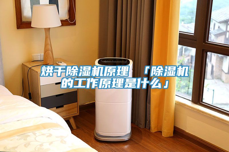 烘幹蘑菇视频网站原理 「蘑菇视频网站的工作原理是什麽」