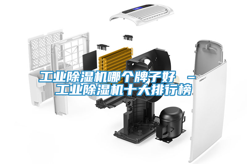 工業蘑菇视频网站哪個牌子好 – 工業蘑菇视频网站十大排行榜