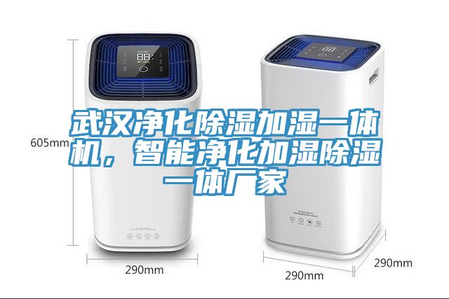 武漢淨化除濕加濕一體機，智能淨化加濕除濕一體廠家
