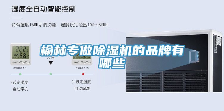 榆林專做蘑菇视频网站的品牌有哪些