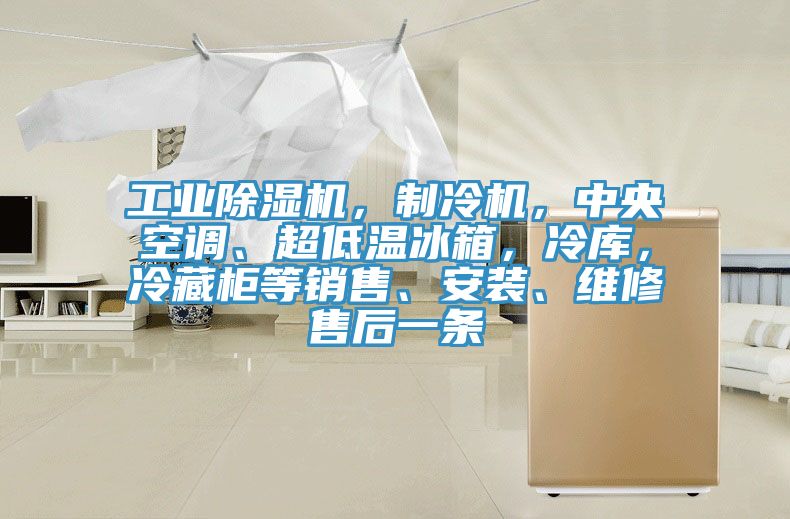 工業蘑菇视频网站，製冷機，中央空調、超低溫冰箱，冷庫，冷藏櫃等銷售、安裝、維修售後一條