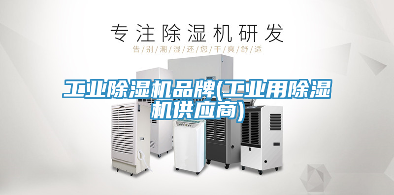 工業蘑菇视频网站品牌(工業用蘑菇视频网站供應商)