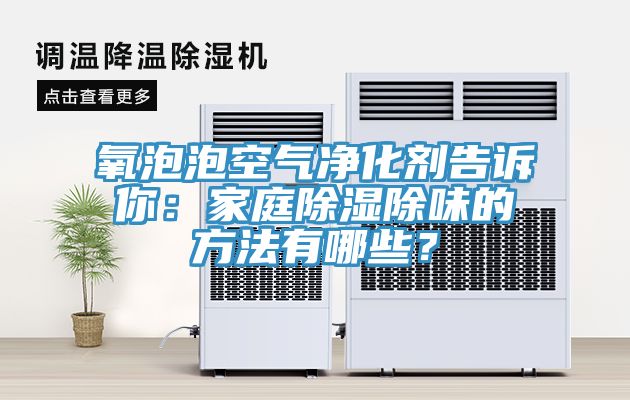氧泡泡空氣淨化劑告訴你：家庭除濕除味的方法有哪些？