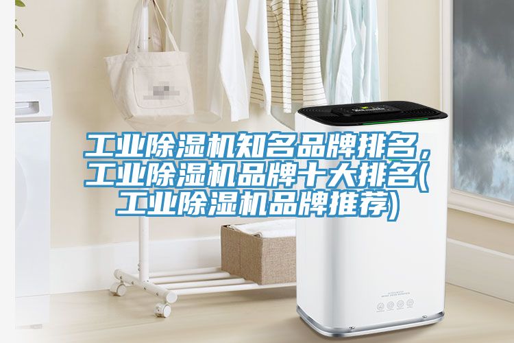 工業蘑菇视频网站知名品牌排名，工業蘑菇视频网站品牌十大排名(工業蘑菇视频网站品牌推薦)