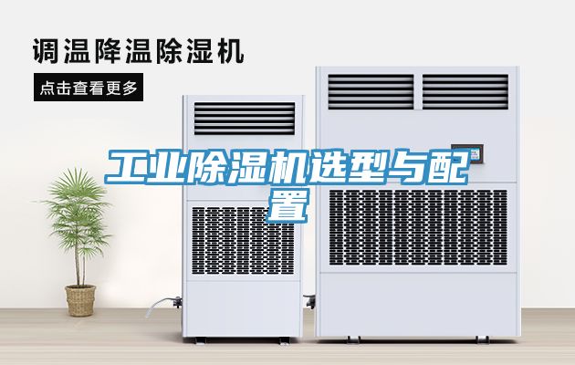 工業蘑菇视频网站選型與配置