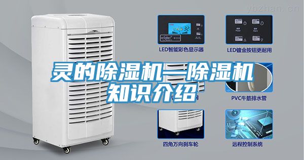 靈的蘑菇视频网站—蘑菇视频网站知識介紹