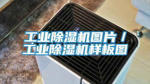 工業蘑菇视频网站圖片／工業蘑菇视频网站樣板圖