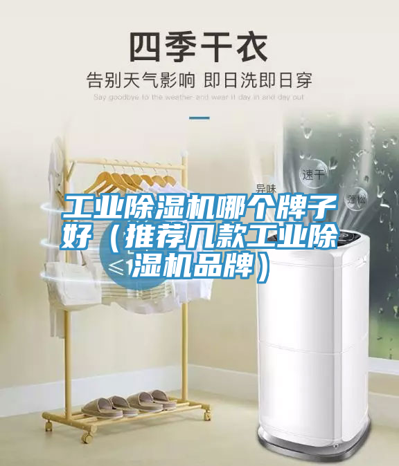 工業蘑菇视频网站哪個牌子好（推薦幾款工業蘑菇视频网站品牌）