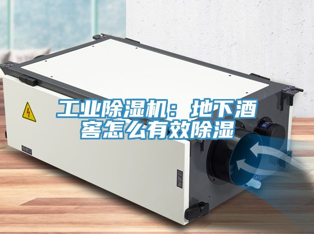 工業蘑菇视频网站：地下酒窖怎麽有效除濕