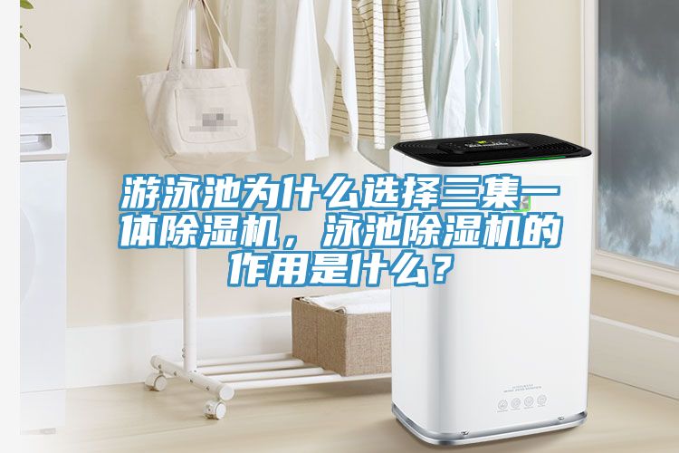 遊泳池為什麽選擇三集一體蘑菇视频网站，泳池蘑菇视频网站的作用是什麽？
