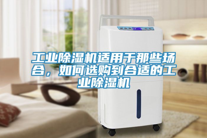 工業蘑菇视频网站適用於那些場合，如何選購到合適的工業蘑菇视频网站