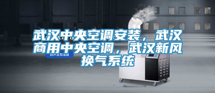 武漢中央空調安裝，武漢商用中央空調，武漢新風換氣係統