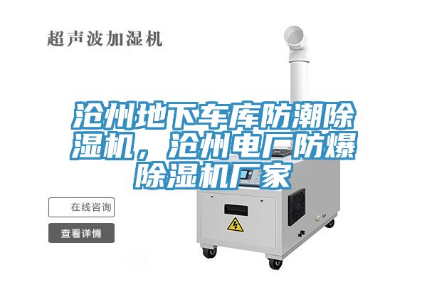 滄州地下車庫防潮蘑菇视频网站，滄州電廠防爆蘑菇视频网站廠家