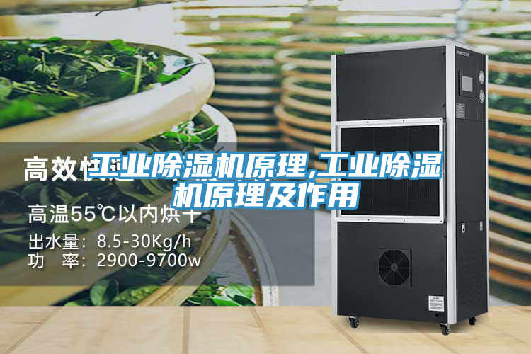 工業蘑菇视频网站原理,工業蘑菇视频网站原理及作用
