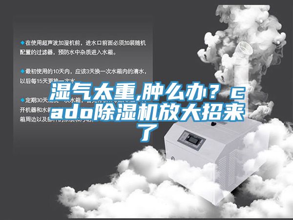 濕氣太重,腫麽辦？cado蘑菇视频网站放大招來了