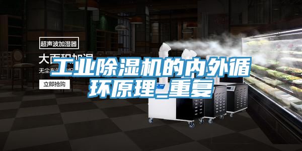 工業蘑菇视频网站的內外循環原理_重複
