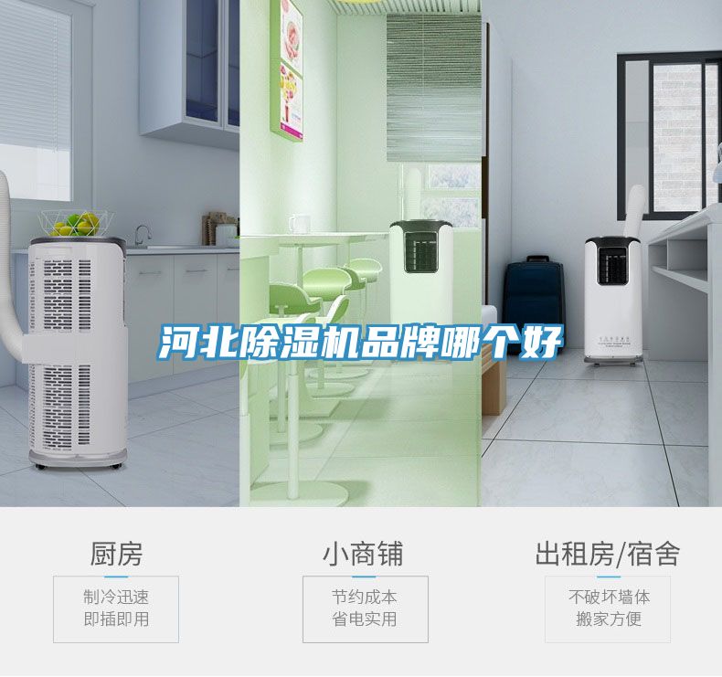 河北蘑菇视频网站品牌哪個好