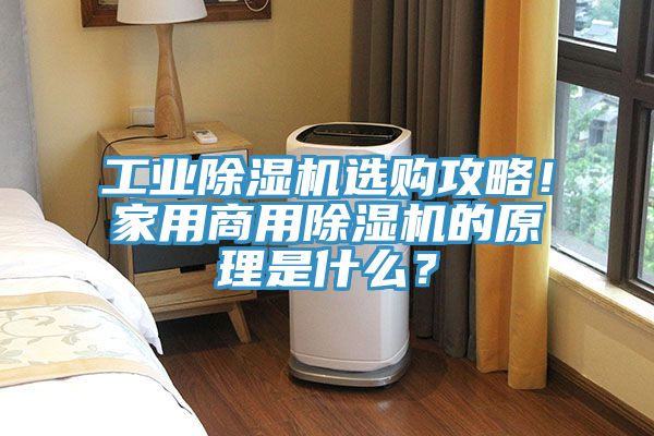 工業蘑菇视频网站選購攻略！家用商用蘑菇视频网站的原理是什麽？