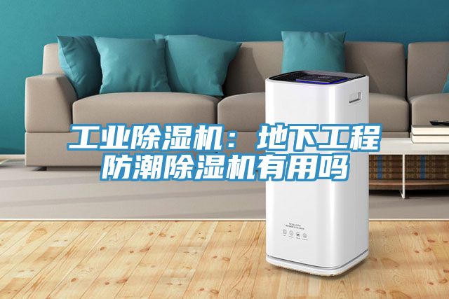 工業蘑菇视频网站：地下工程防潮蘑菇视频网站有用嗎