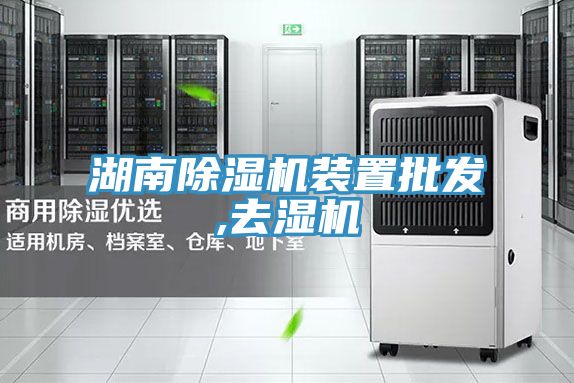 湖南蘑菇视频网站裝置批發,去濕機