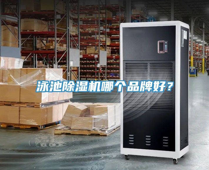 泳池蘑菇视频网站哪個品牌好？