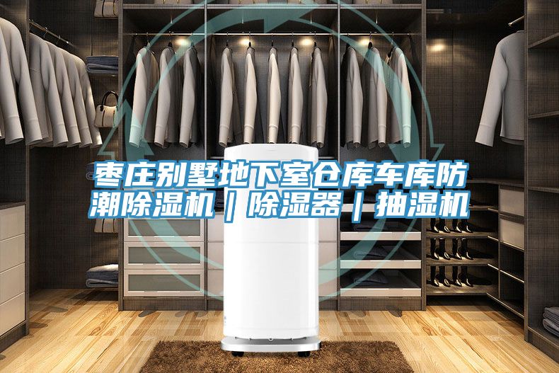 棗莊別墅地下室倉庫車庫防潮蘑菇视频网站｜除濕器｜抽濕機