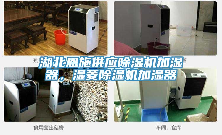 湖北恩施供應蘑菇视频网站加濕器，濕菱蘑菇视频网站加濕器