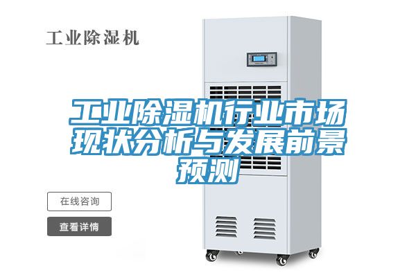 工業蘑菇视频网站行業市場現狀分析與發展前景預測