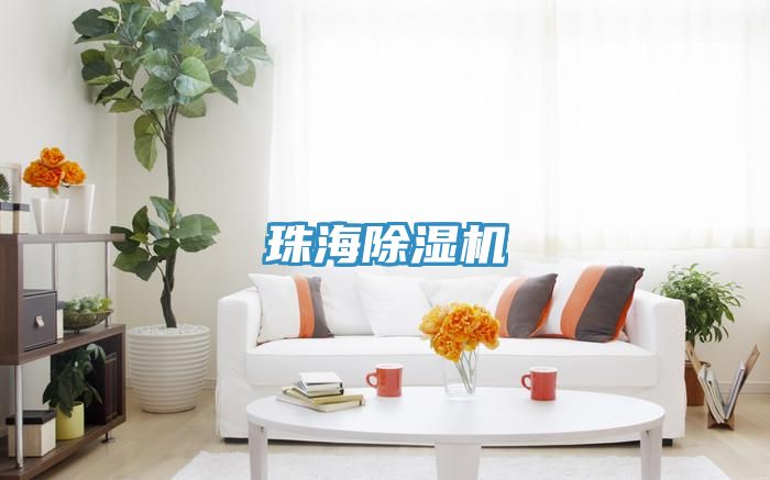 珠海蘑菇视频网站