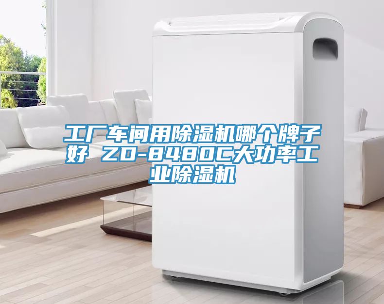 工廠車間用蘑菇视频网站哪個牌子好 ZD-8480C大功率工業蘑菇视频网站