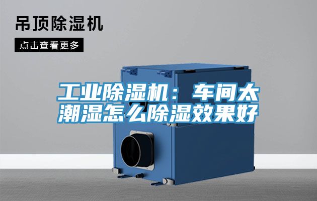 工業蘑菇视频网站：車間太潮濕怎麽除濕效果好