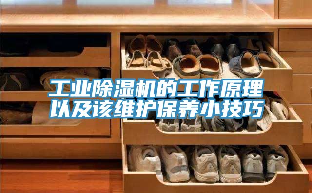 工業蘑菇视频网站的工作原理以及該維護保養小技巧