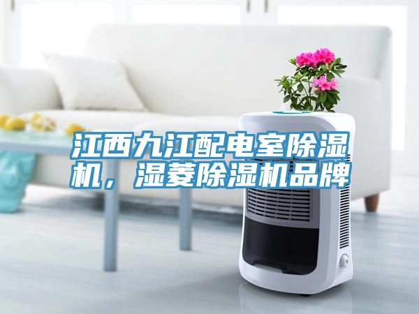 江西九江配電室蘑菇视频网站，濕菱蘑菇视频网站品牌