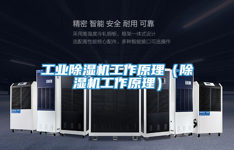 工業蘑菇视频网站工作原理（蘑菇视频网站工作原理）