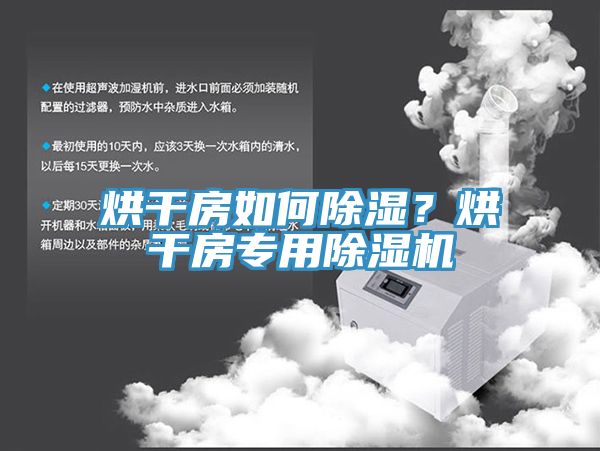 烘幹房如何除濕？烘幹房專用蘑菇视频网站