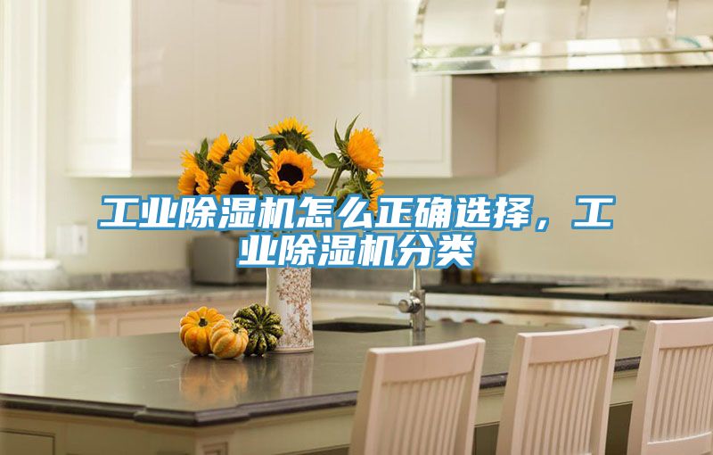 工業蘑菇视频网站怎麽正確選擇，工業蘑菇视频网站分類
