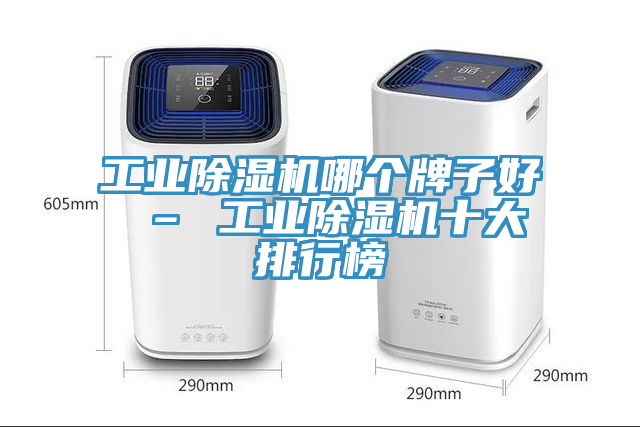工業蘑菇视频网站哪個牌子好 – 工業蘑菇视频网站十大排行榜