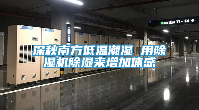 深秋南方低溫潮濕 用蘑菇视频网站除濕來增加體感