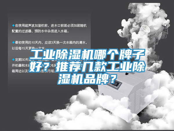 工業蘑菇视频网站哪個牌子好？推薦幾款工業蘑菇视频网站品牌？