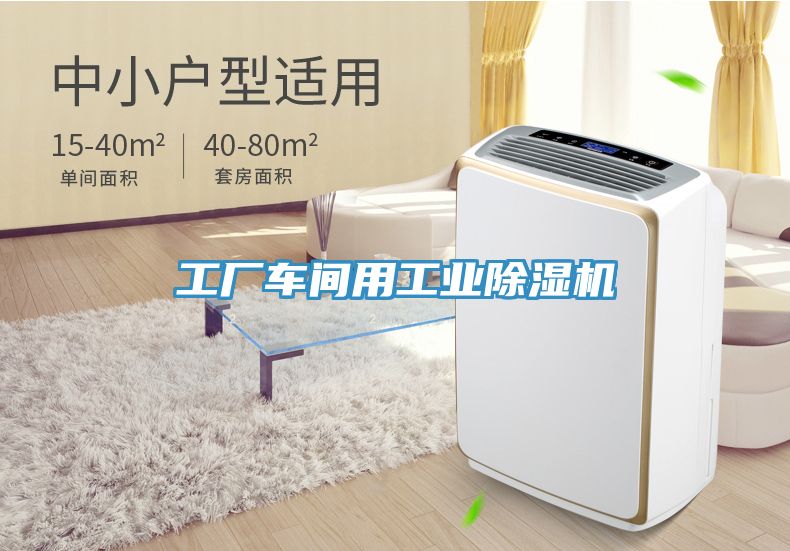 工廠車間用工業蘑菇视频网站