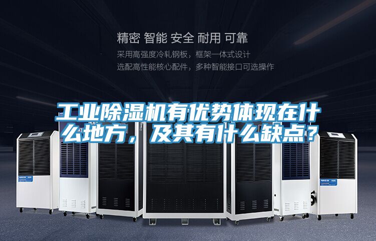 工業蘑菇视频网站有優勢體現在什麽地方，及其有什麽缺點？