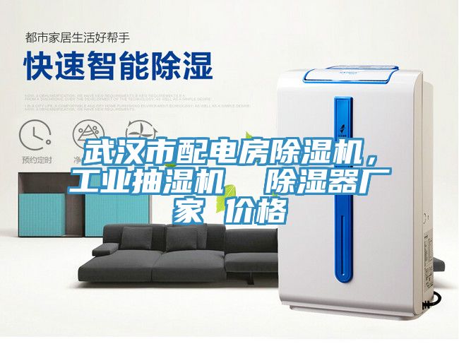 武漢市配電房蘑菇视频网站，工業抽濕機  除濕器廠家 價格