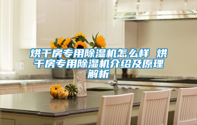 烘幹房專用蘑菇视频网站怎麽樣 烘幹房專用蘑菇视频网站介紹及原理解析
