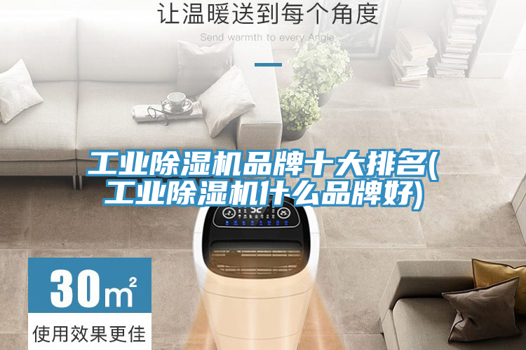 工業蘑菇视频网站品牌十大排名(工業蘑菇视频网站什麽品牌好)